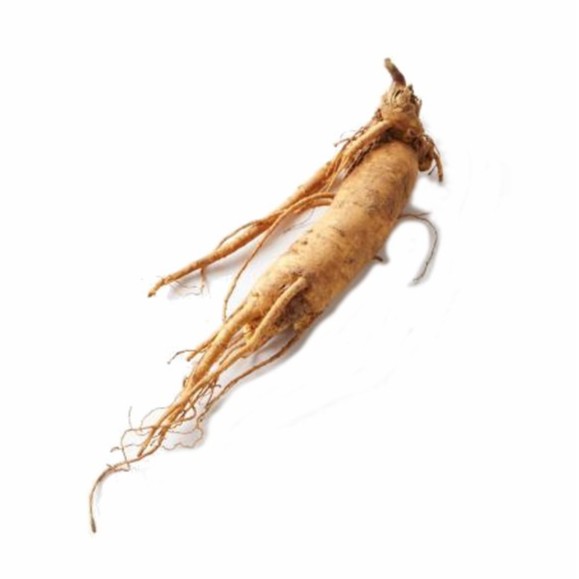 Ginseng Ginseng